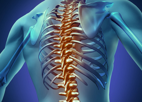 Alteraciones en columna vertebral
